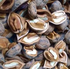 手で簡単に割れてそのまま美味しい秋田県産くるみのサムネイル