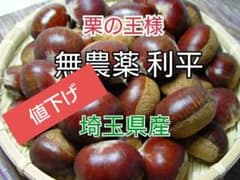 利平栗【2L〜4Lサイズ 1キロ】農薬不使用 2025年 - メルカリ
