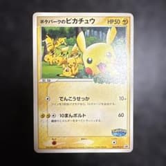 ポケパークのピカチュウ PROMO PCG-Pプロモカード 043/PCG-P - メルカリ