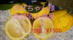 柚子 ゆず(姫柚子) 70個 無農薬 家庭栽培のサムネイル