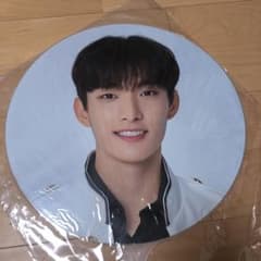 SEVENTEEN セブチ　DK ドギョム　ソクミン　うちわのサムネイル
