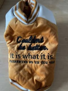 ２号サイズ　犬　服のサムネイル