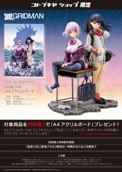 SSSS.GRIDMAN】宝多六花&新条アカネ＋A1アクリルボードセット - メルカリ