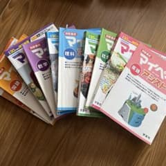 バラ売り、値下げ可能⭕️ マイペース 国語 数学 社会 理科 英語のサムネイル