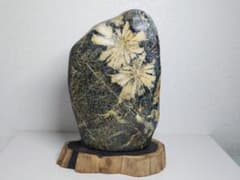 菊花石 3.4kg 孔雀石 菊紋石 紋石 原石 鑑賞石 自然石 鉱物 鉱石 水石