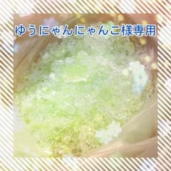 ゆうにゃんにゃんこ様専用ページのサムネイル