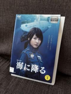 ※引越しのため3月30日まで販売！ 有村架純　海に降る　DVDのサムネイル
