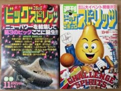 貴重】ビッグコミックスピリッツ創刊号／めぞん一刻 最終話掲載号2冊