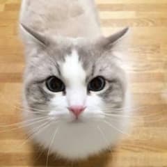 hinamizuio様返金用のサムネイル