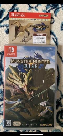 モンスターハンターライズ　ソフト　switchのサムネイル