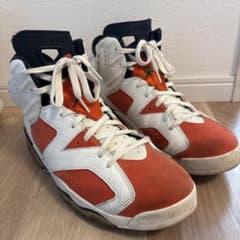 Air Jordan 6 ゲータレードのサムネイル