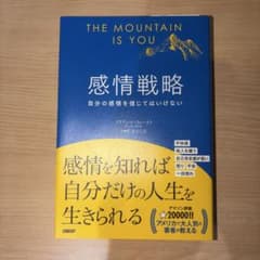 感情戦略のサムネイル
