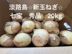 淡路島産 秀品　七宝　新玉ねぎ 20kg 送料込みのサムネイル