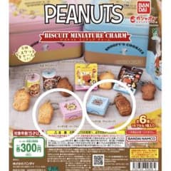 PEANUTS ビスケットミニチュアチャームのサムネイル