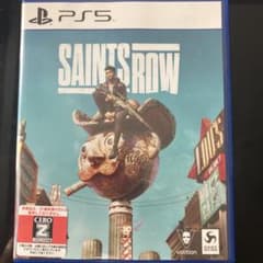 SAINTS ROW セインツロウ　PS5 CERO Z