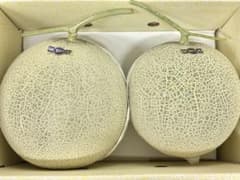 け*ん様 大玉サイズ ご贈答用 高知特産温室マスクメロン 〇秀2玉入り