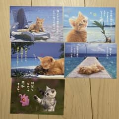 猫のポストカード 5枚セットのサムネイル
