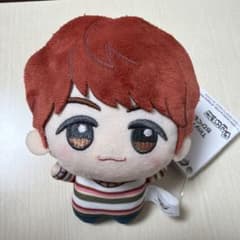 TinyTAN DNA chibiguru j-hope 호석 BTS 프라이즈