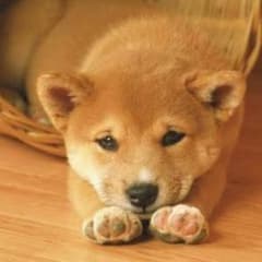 はにわ様専用・グレーカーディガンのサムネイル