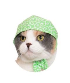 奇譚クラブ_ねこのかぶりものサムネイル