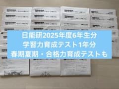 日能研　2025年度　5年生　育成テスト　1年分　書き込みあり 中学受験】日能研 新5年生になって変わったこと | ママちゃんブログ