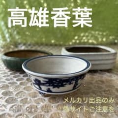 高雄香葉　盆栽鉢　小品　3個セット　レトロ　(A6) 高雄香葉 盆栽鉢 小品 3個セット レトロ (A6) - メルカリ