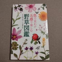 色で見わけ五感で楽しむ野草図鑑のサムネイル