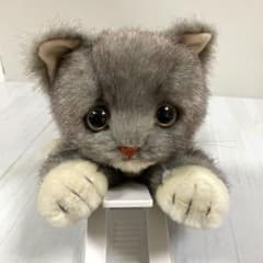 m32460138089_1.jpg?1746500327