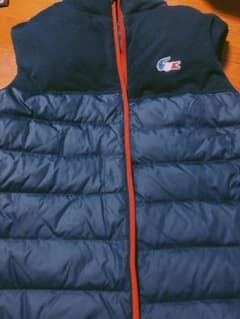 LACOSTE ダウンジャケットのサムネイル