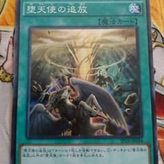 堕天使の追放 即買いokのサムネイル