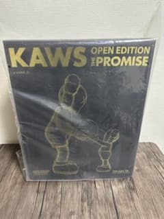 【未開封】MEDICOM TOY KAWS THE PROMISE ブラックのサムネイル