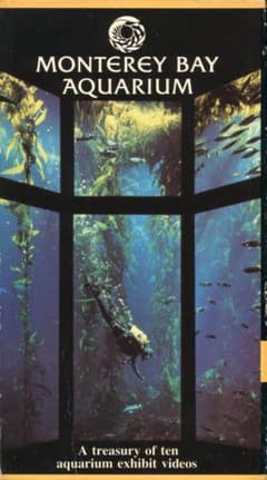 モントレー水族館 Monterey Bay Aquarium VHS - 3