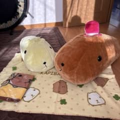 카피바라씨 큰 봉제인형 2개 세트