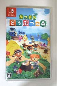 Switch 얽힌 돈부츠의 숲