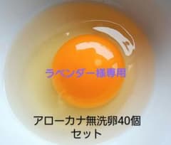 アローカナ無洗卵40個セットのサムネイル