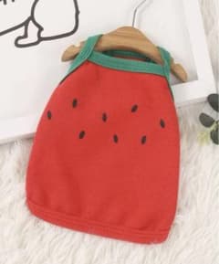 新品未使用　犬服　スイカのサムネイル
