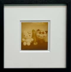 荒木経惟 ポラロイド写真 サイン入 額装 - メルカリ