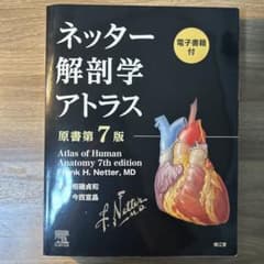 ネッター解剖学アトラス原書第7版 - メルカリ