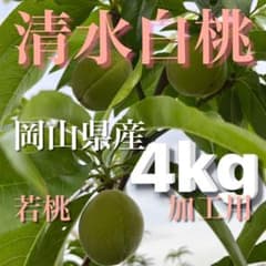 若桃！3〜４センチ位のサイズです！岡山県産！清水白桃！コンポートや甘露煮など！のサムネイル