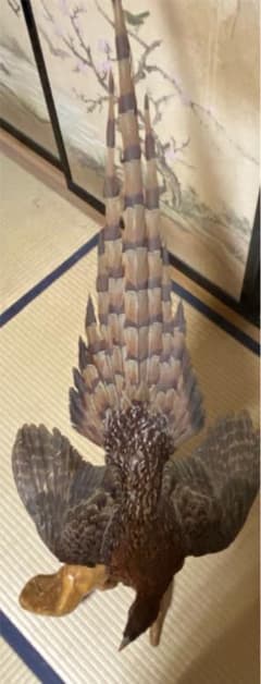 山鳥 剥製 - メルカリ