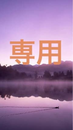 スタイルフィット 替芯 10本セットのサムネイル