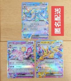 ポケモンカード VS ブイズ 3枚セット まとめ売り 匿名配 ポケモンカード VS ブイズ 3枚セット まとめ売り 匿名配 【公式通販】