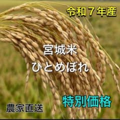 [기간 한정 가격] 혼자 현미 20kg 정미 무료