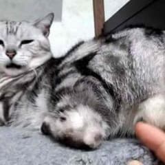 ウォークマン様専用のサムネイル