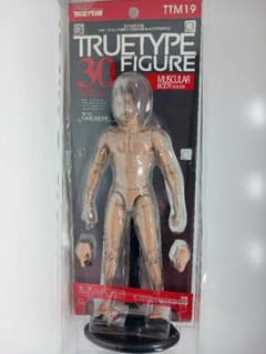 ホットトイズ トゥルータイプ マスキュラー・ボディ 白人男性 フィギュア ホットトイズ・トゥルータイプ】1／6スケールフィギュア素体