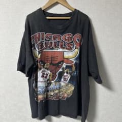 bulls raptee vintage tee 90sのサムネイル