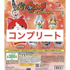 妖怪ウォッチ めじるしアクセサリー コンプ