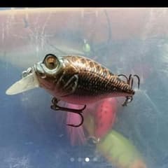 かつやぷり様専用のサムネイル