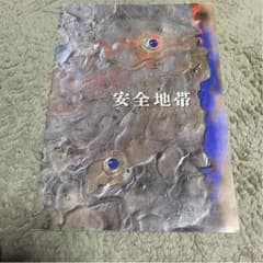 安全地帯 ツアーパンフレットのサムネイル
