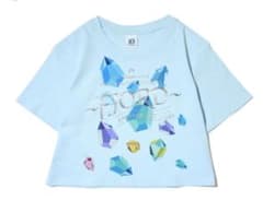 FJORD ミセス クリスタルTシャツ / ライトブルー クロップド 短丈